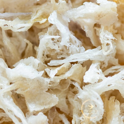 Chân Yến Tinh Chế 100gr