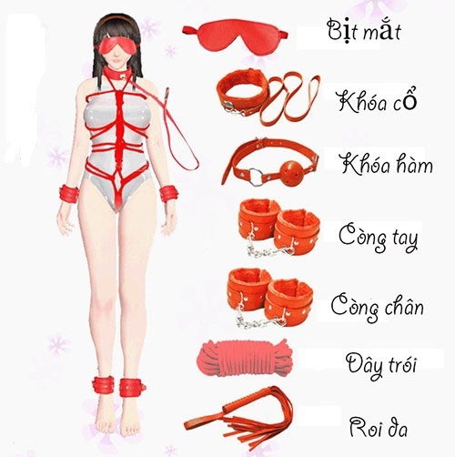 Đồ Chơi BDSM 50 Sắc Thái 10 Món