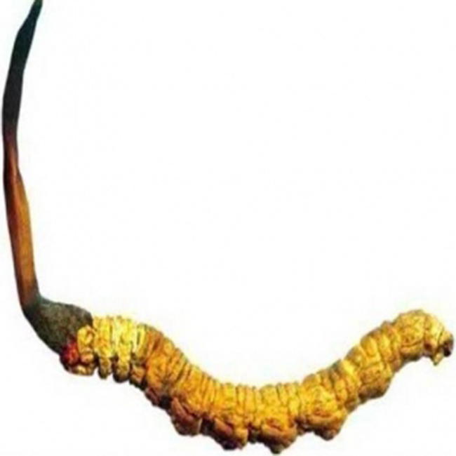 keo sam xtreme candy san xuat tai my tang cuong sinh luc nam gioi 30 vien x 43g anh 005