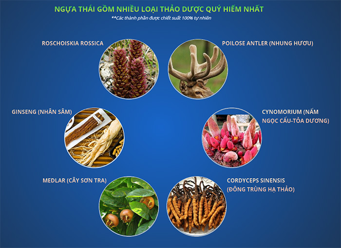 thai thao duoc tang cuong cuong cung va tang sinh ly nam ngua thai 7000mg hop 10 vien 2