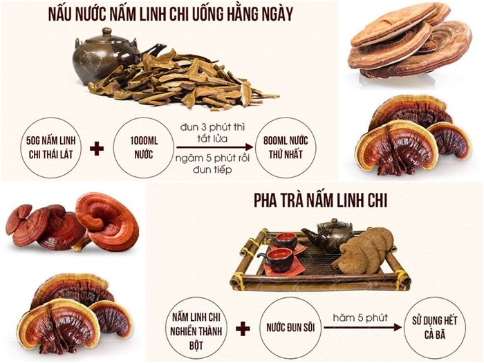 Nấm Linh Chi Hàn Quốc POCHEON Arirang (10-13 lá) 1kg 15 Nam Linh chi kho – Pocheon Ginseng Pocheon Arirang Lingzhi Mushroom 10 13 la01 kg