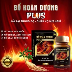 bo hoan duong plus chinh hang 2 UFp5h