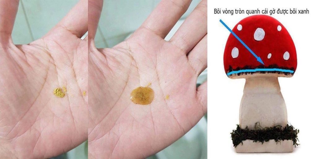 cach su dung cao sin su