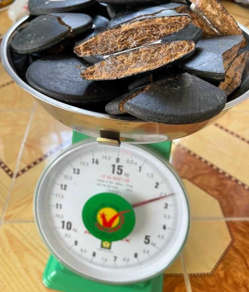 Cách Dùng Cao Sìn Sú An Toàn Và Hiệu Quả 6 cao sin su