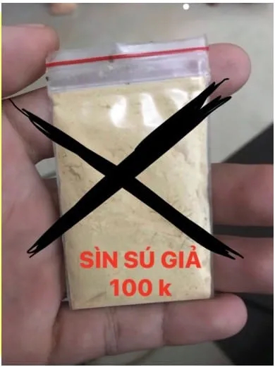 Sin su gia
