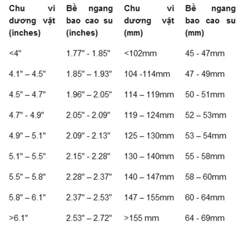 tim dung kich co ao mua chi trong 3 buoc 16 102342