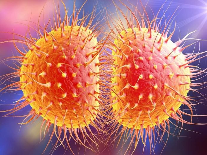 gonorrhea 1518500872708186569424