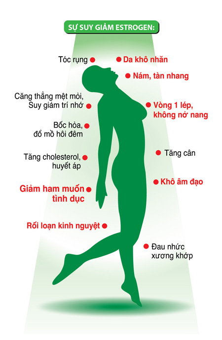 1373684326 estrogen cho phu nu 1 1e7c5