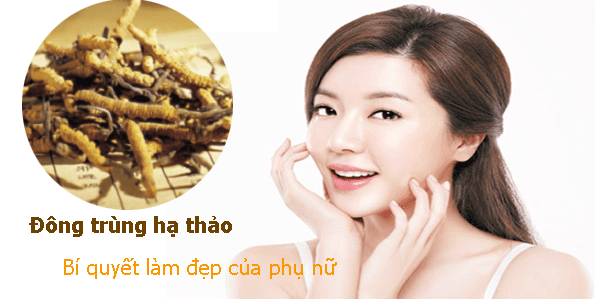 dong trung ha thao co tot khong