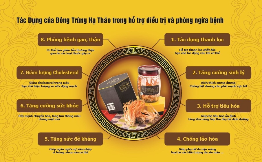 Cách dùng đông trùng hạ thảo cho hiệu quả tốt nhất cho sức khỏe 7 dong trung ha thao day lui nguy co mac benh hiem nggheo 1