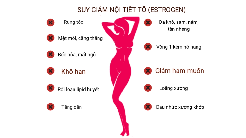 suy giam noi tiet to 1 16518011658931744897177