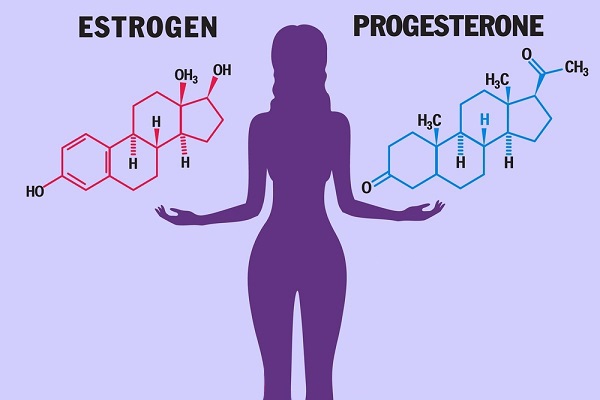 Sự khác nhau giữa Estrogen và Progesterone là gì? Đừng bỏ qua 7 thuoc bo sung estrogen va progesterone 5