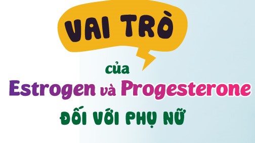 Sự khác nhau giữa Estrogen và Progesterone là gì? Đừng bỏ qua 8 vai tro quan trong cua hormone estrogen va progesterone doi voi phu nu 1