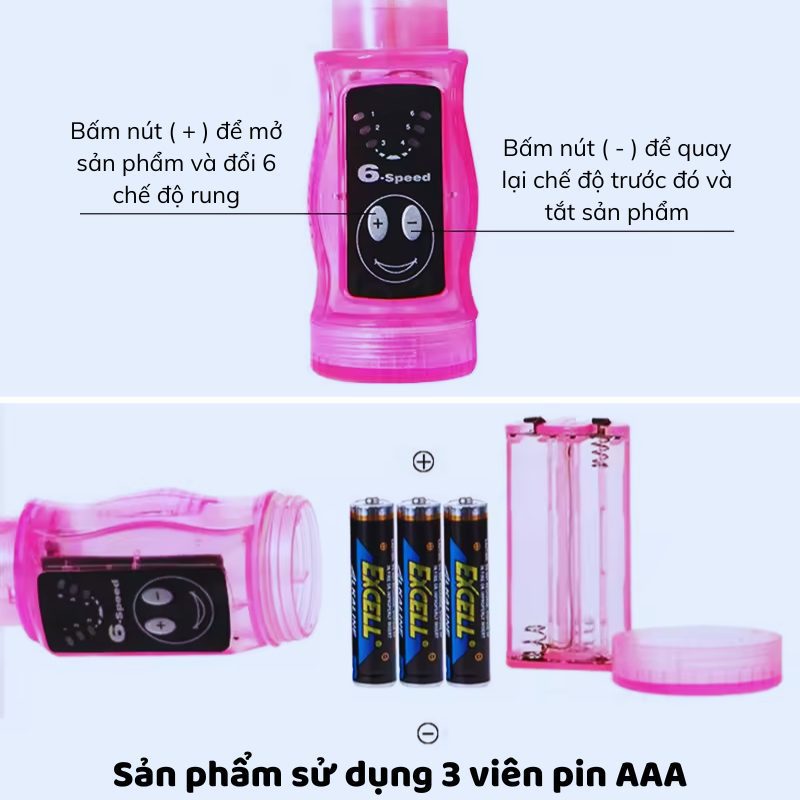 cay rung hau mon Distortion 1