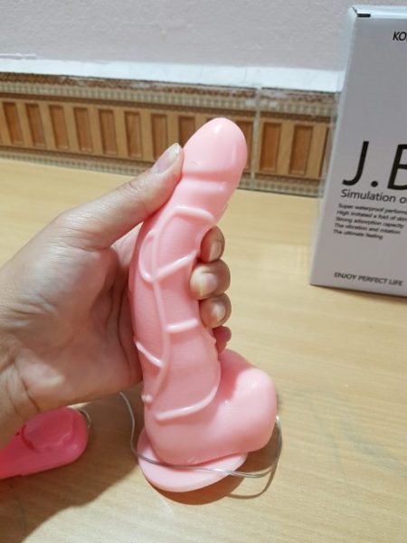 duong vat gia gan tuong jb 3 510x680 1