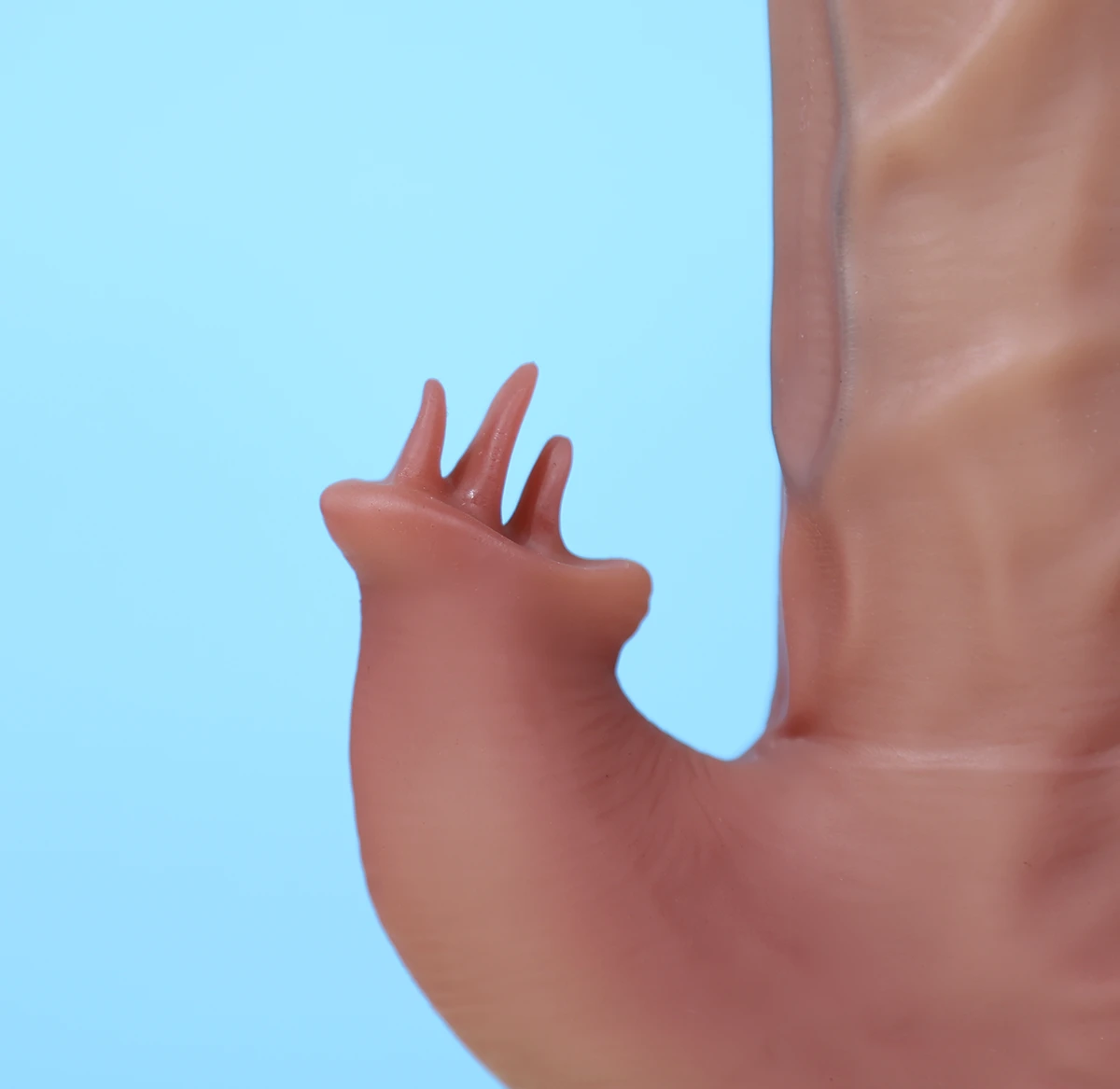 yeain tarzan 3 dildo 4