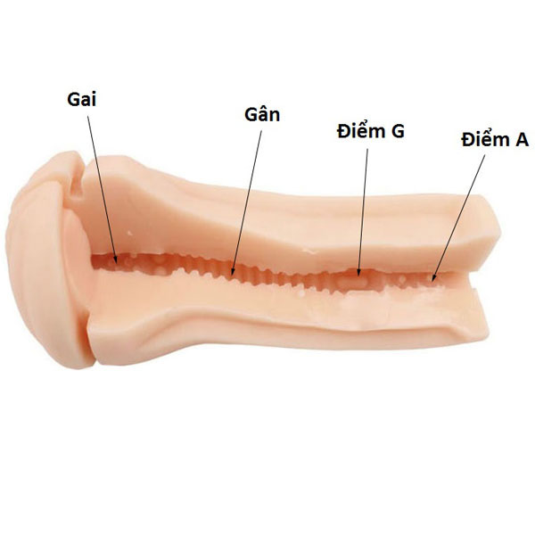 1626002592 am dao gia