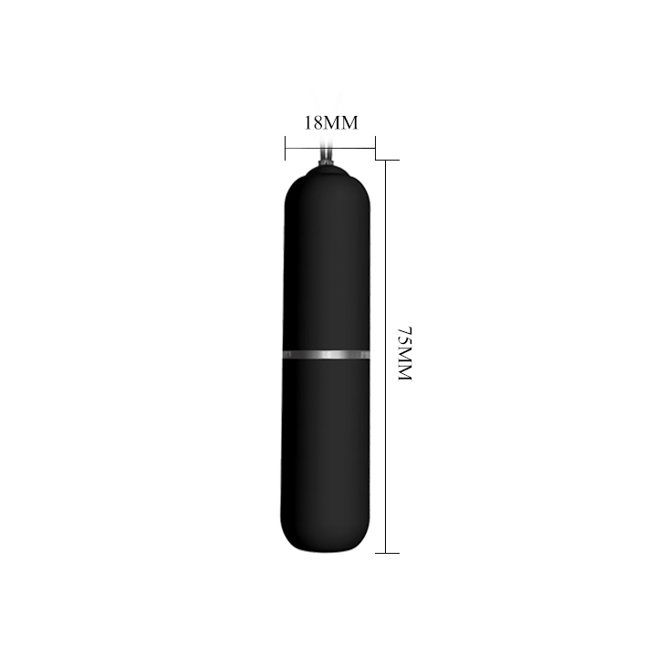 Quần Lót Gắn Trứng Rung Điều Khiển Từ Xa 20 BW 012009 05