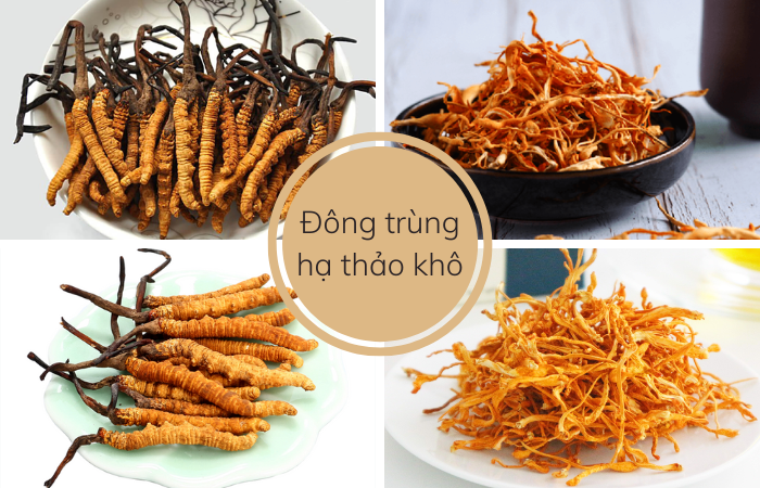 Nấm đông trùng hạ thảo khô có tác dụng gì? Cách sử dụng 6 cac dang dong trung ha thao kho