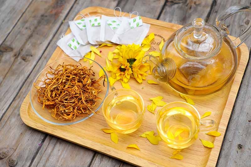 Những cách dùng đông trùng hạ thảo nguyên con tốt nhất sơ chế tại nhà 12 cach dung dong trung1