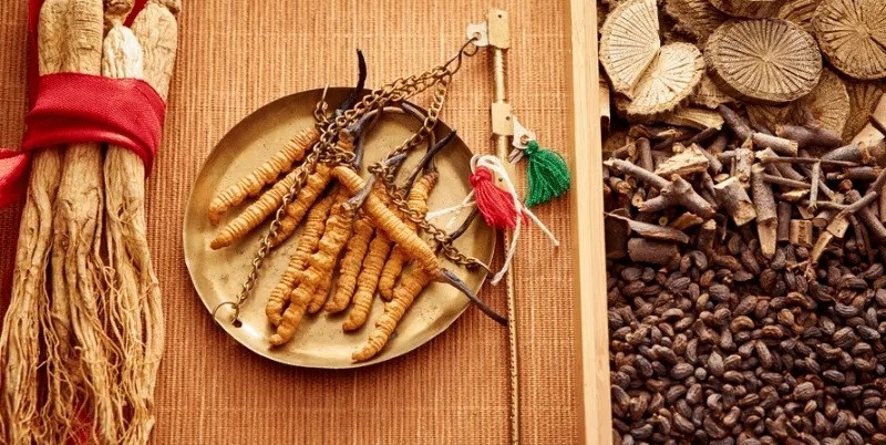 Những lưu ý khi dùng đông trùng hạ thảo bạn nên biết 7 dong trung ha thao