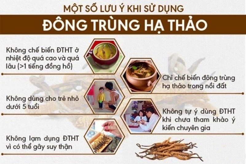 Những lưu ý khi dùng đông trùng hạ thảo bạn nên biết 5 dong trung ha thao1