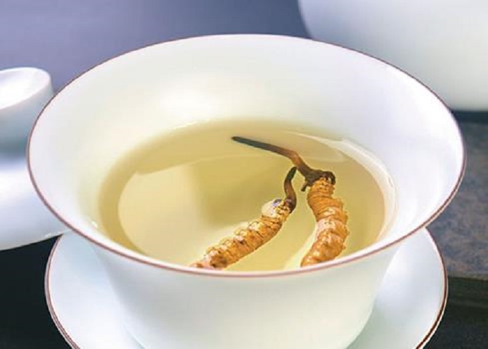 Những cách dùng đông trùng hạ thảo nguyên con tốt nhất sơ chế tại nhà 9 tra dong trung ha thao tot cho suc khoe