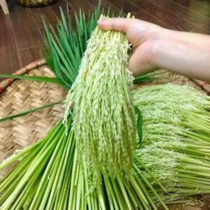 Đòng Đòng Non (1kg)