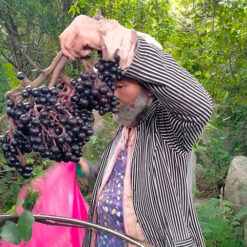 10 nho 02 1695625907266