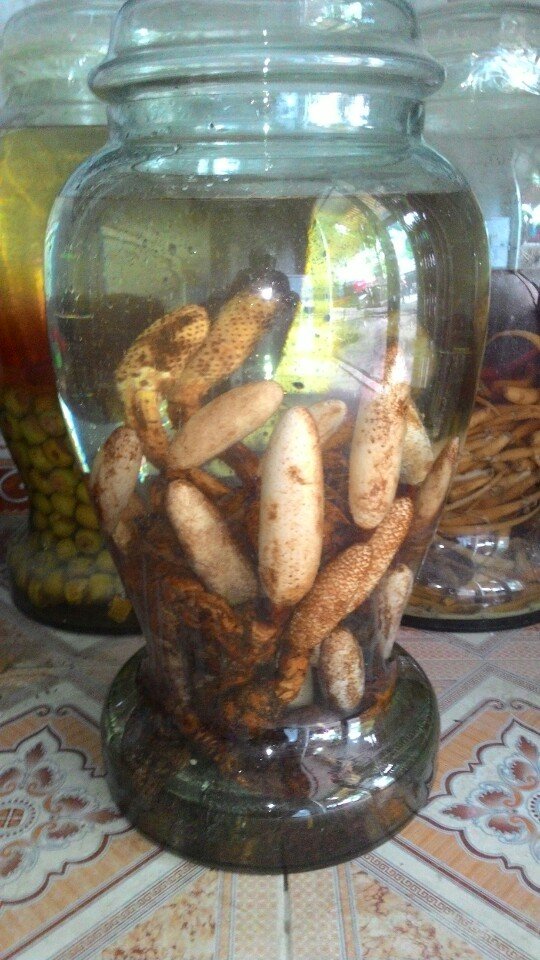 Nấm Tích Dương Khô (1kg) 8 14469550 272798706452097 6440008871376005463 n