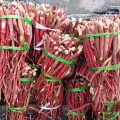 194eb064 fe82 4773 9f83 400d4569aa31