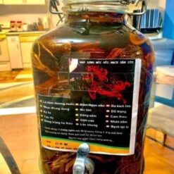 508116565 3105379356305374 5546643415986234822 n