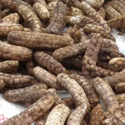 80813808 chuoi hot rung