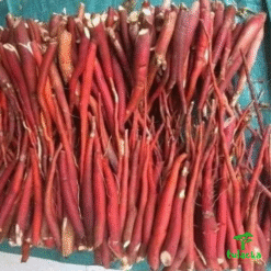 9bf74aef d99f 4c5a aec8 ac95524f6d5e