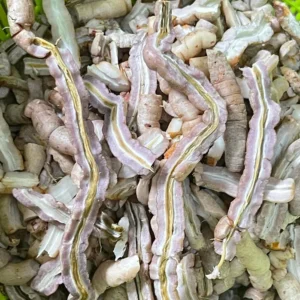 Ba Kích Tím Tươi Tách Lõi (1kg)