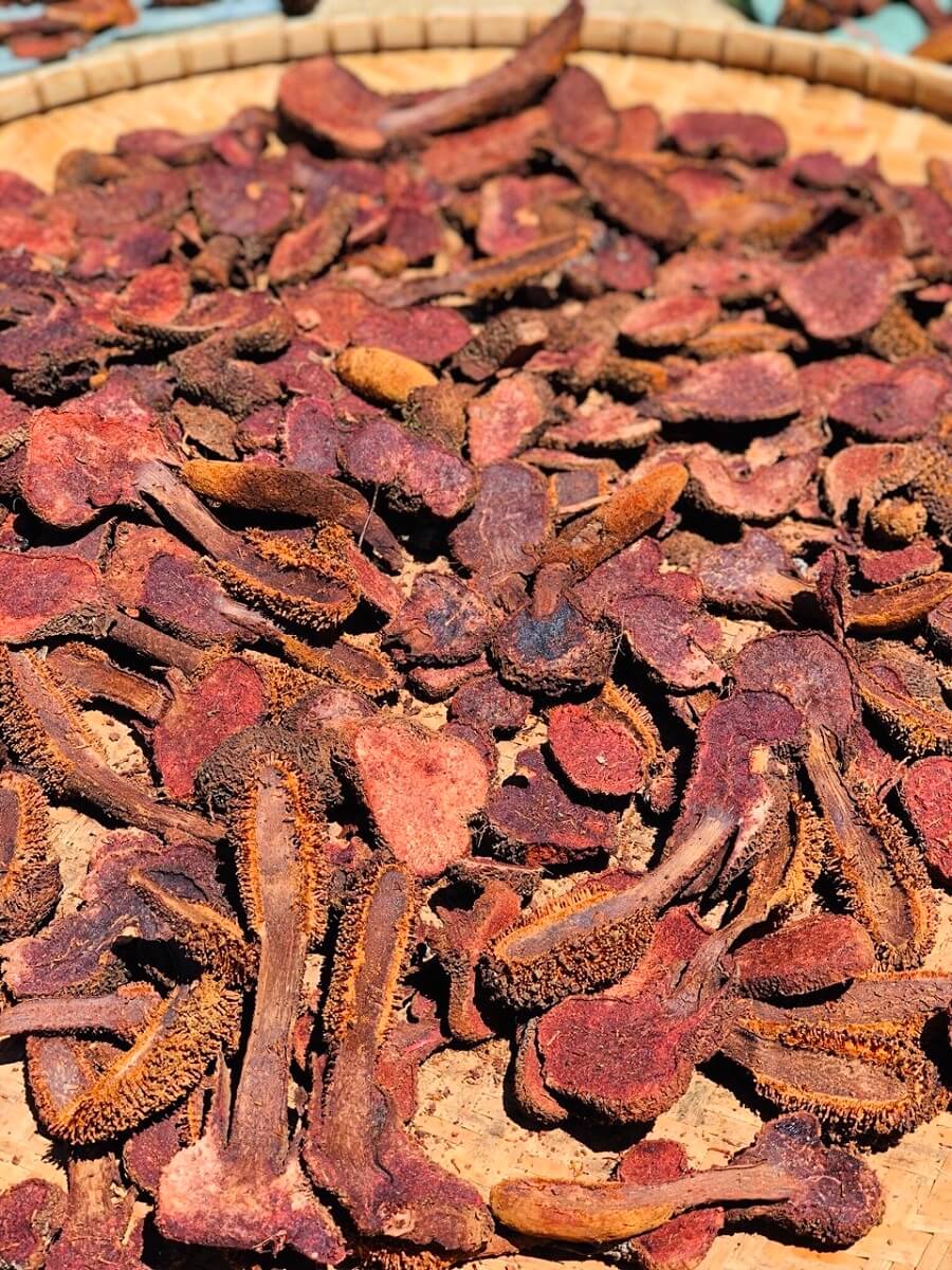 Nấm Tích Dương Khô (1kg) 3 Nấm Tích Dương Khô (1kg)