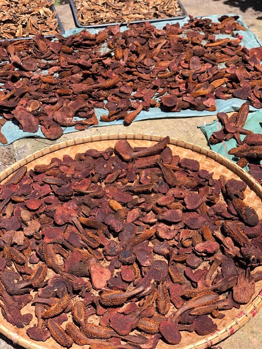 Nấm Tích Dương Khô (1kg) 2 Nấm Tích Dương Khô (1kg)