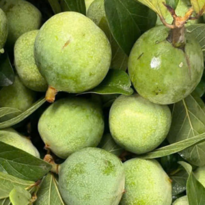 Trâu Cổ (1kg)