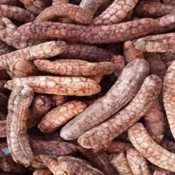 avatar1749536271238 17495362715971572706007