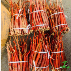 c019ca9d 34c7 4bd6 bc01 7798e4e51703