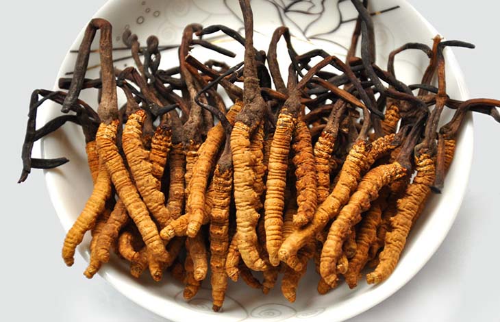 Có bầu ăn đông trùng hạ thảo được không? Cần lưu ý gì? 8 ba bau co an duoc dong trung ha thao khong