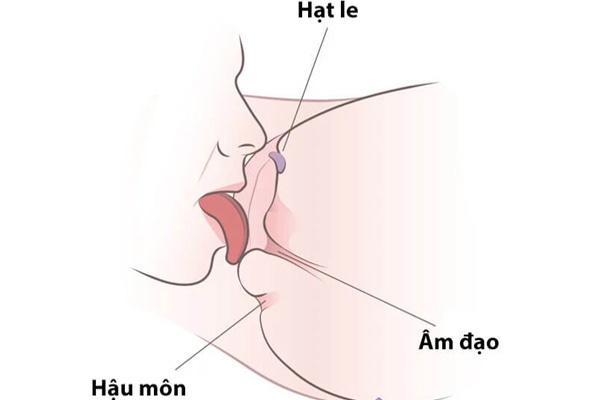 cach vet mang dieu luyen khien nang phat dien vi suong 1073 2