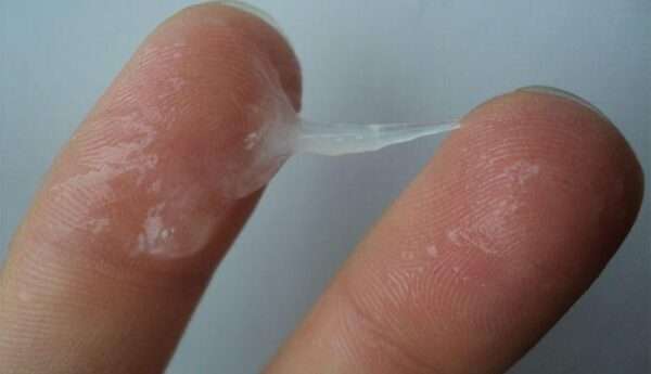 OVK5I9ESVCG2rz8sTFDg3kSeNcM9Qvv85DDm2ZFghsLP6wKKZDMS0s0glc44a3mHQA3CB4h EgW1iVwMFyIZYHwbLN2O8pq9T1Ufhrbf NuRRe9pYsdROuHFcNW5HAxazXwxIi4K7gtLvfnNGW5mCDC6NZeiVzGYiJQi7oTirMjgDKUqmLdnyVaDJhdbQj1B