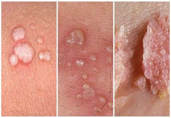 pXO4qE0VhK1TRBKdHLrLGp2P2jonaS0L7CFhf745EZs0UdAKKTKsQSdALhPwXKCbj8GcGttqi6H727aAr8MVje51nGwKLVxwGTM8xDmQ3r pwP9R8ER1GxKdLClkYgXiR3TNmUNK8Vdme2uIVQHLUw1fkd36jihWtOGtGiZWse6XAOT6R8g9qz 2Wo RKnRN