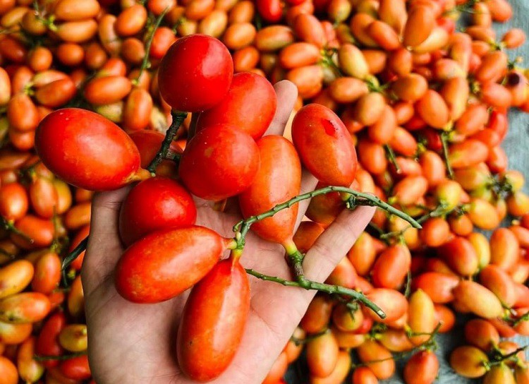 Quả Máu Chó (1kg) 5 Quả Máu Chó (1kg)