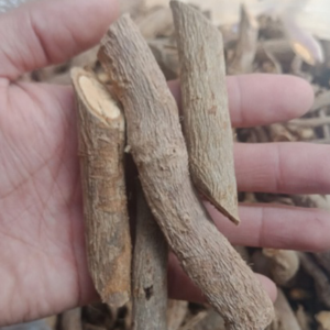 Sâm Xuyên Đá Khô (1kg)