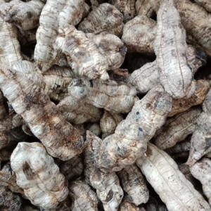 Chuối Cô Đơn, Chuối Mồ Côi Khô (1kg)