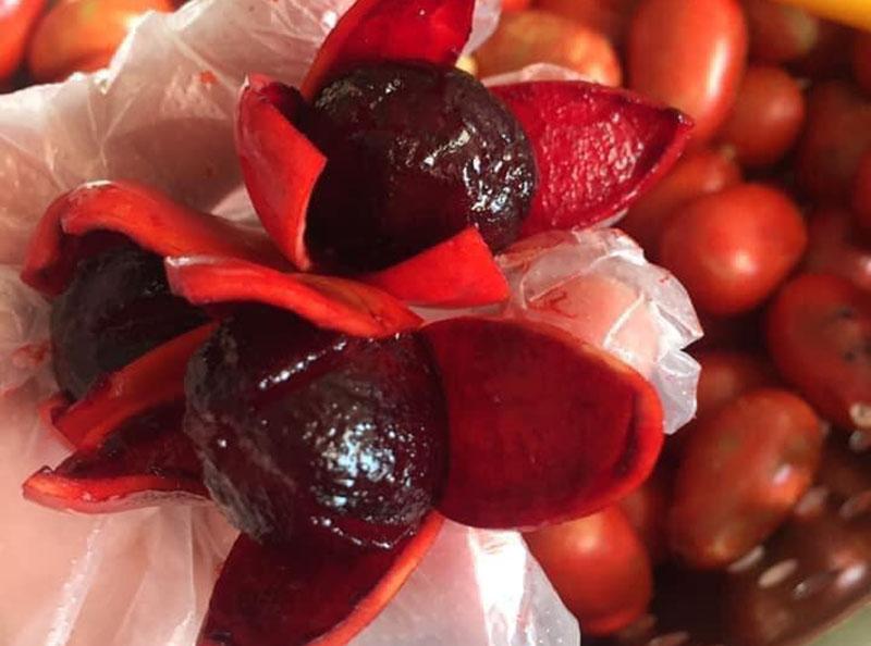 Quả Máu Chó (1kg) 4 Quả Máu Chó (1kg)