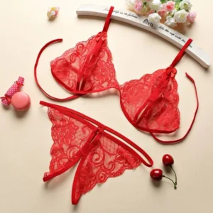 Đồ Lót Sexy 2 Mảnh Ren Quần Lót Lọt Khe Xẻ Đáy Set Bralette Nội Y Gợi Cảm - T310 Đỏ